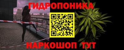 индика Кунгур