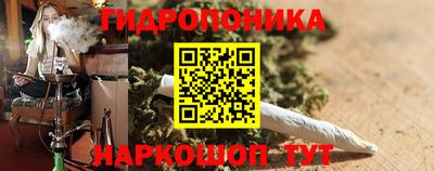прущие грибы Кулебаки