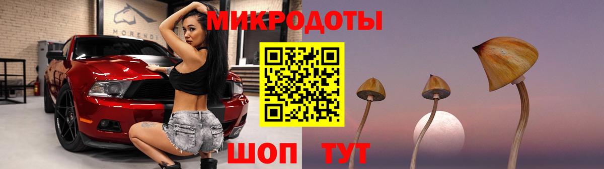 Псилоцибиновые грибы Cubensis Карталы